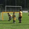 Voetbaldoeltjes JVD240 (inklapbaar) 39 Inklapbare mini pupillendoelen 3 x 1 m